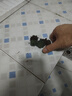 蘭桑酒山地蜜粉耶雞蛋玫瑰多肉植物盆栽室內(nèi)陽臺桌面花卉 水蜜桃玫瑰3cm夏季變色【3顆】 曬單實拍圖
