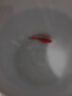 毛如意蝴蝶鯉魚球體短身大鰭長尾冷水魚錦鯉紅色觀賞魚活體  順豐 10-12CM 黑白黃各1條貴妃 曬單實拍圖