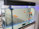 西龍中大魚(yú)缸客廳家用落地懶人生態(tài)免換水帶柜子一體自循環(huán)金魚(yú)水族箱 100CM魚(yú)缸+木地柜+造景 曬單實(shí)拍圖