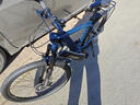 鳳凰山地自行車(chē)成人男款女式變速越野減震中小學(xué)生青少年單車(chē)26寸公路 鋼架內線(xiàn)【藍色輻條輪】送后貨架 26英寸【推薦身高160-180CM】 24速【泰昌定位變速】 曬單實(shí)拍圖
