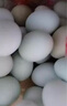 晨誠綠殼土雞蛋新鮮農家放養散養谷物蛋烏雞蛋青殼烏雞蛋春節禮盒 30枚*（40-45)g烏雞蛋 曬單實(shí)拍圖