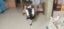英氏（YEEHOO）女童套裝兒童棒球服裙子兩件裝中大童裝休閑學(xué)院風(fēng)秋裝 黑色 130 曬單實(shí)拍圖