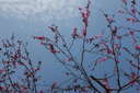富士/Fujifilm X100V X100VI 數(shù)碼相機復(fù)古定焦文藝旁軸 便攜掃街 二手微單相機 富士X100S 9新 曬單實拍圖