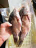 云映漁舟 微山湖生態(tài)大鯽魚(凈膛) 生態(tài)活魚現(xiàn)殺淡水魚生鮮孕產(chǎn)婦下奶燉湯 大號鯽魚（每斤2-3條） 5斤（殺好損耗15％） 曬單實拍圖
