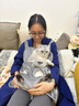 擼貓服超柔抱貓服不沾毛圍兜抱寵物圍裙貓咪圍兜抱貓防毛專(zhuān)用衣服 加厚灰色無(wú)洞款 曬單實(shí)拍圖