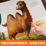 【正版自營(yíng)-假一賠十】寶寶的第一本觸摸書 好玩的觸摸立體書 兒童軍事百科立體書 青葫蘆那么大地板書翻翻書 0-3歲寶寶學(xué)說話手指點(diǎn)讀發(fā)聲書 【超大開本】寶寶的第一本觸摸書 曬單實(shí)拍圖