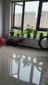 嘆為觀止桌面室內(nèi)垂吊綠植金心金邊口紅辦公室綠植盆栽 青葉吊蘭 含盆 曬單實拍圖