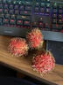 沐小七果蔬【EMS順豐速運-可送貨上門(mén)】海南保亭特大果紅毛丹 5斤裝 毛荔枝 5斤禮盒裝【巨無(wú)霸-手工嚴選】?jì)?斤 禮盒+保溫箱+冰袋保鮮 曬單實(shí)拍圖