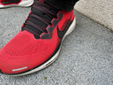 耐克NIKE男跑步鞋飛馬41 PEGASUS 41運(yùn)動(dòng)鞋F(xiàn)D2722-602大學(xué)紅42 曬單實(shí)拍圖