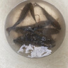 岡原精工（OKABARA SEIKO）日本進(jìn)口伸縮碳素超短節(jié)海竿套裝遠(yuǎn)投竿拋竿超硬海桿拋竿紡車輪桿 2.4m 龍魂+紡車輪+禮包 曬單實(shí)拍圖
