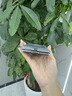 猿氣「科技」適用華為matex6手機(jī)殼新款超薄磁吸x6保護(hù)套潮流高級(jí)感磨砂不粘指紋全包x6matex6手機(jī)外殼 科技系列丨磁吸充電【曜石黑】 華為 Mate X6 曬單實(shí)拍圖