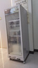 加承冷凍柜商用立式超市冰淇淋雪糕柜大容量低溫冰柜風(fēng)冷急凍冰箱包子餃子速凍食品冷凍展示柜 【-22℃冷凍全屏款】單門(mén)620 曬單實(shí)拍圖