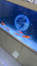 森森（SUNSUN）大型魚缸底過(guò)濾水族箱客廳家用落地玻璃生態(tài)金魚缸 【實(shí)時(shí)溫顯+燈控】寶馬灰 1.5米長(zhǎng)35cm寬 曬單實(shí)拍圖