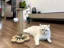 小貓日記貓抓板耐磨不掉屑劍麻貓抓柱爪板貓玩具逗貓棒自嗨解悶貓爬架一體 【性?xún)r(jià)比款】四合一貓抓柱 曬單實(shí)拍圖