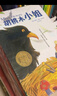 紐伯瑞兒童文學(xué)國際大獎小說(shuō)（全10冊）4冊金獎6冊銀獎原版插圖二三四五年級課外閱讀童書(shū) 課外閱讀 閱讀 課外書(shū)   曬單實(shí)拍圖