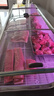 澳柯瑪（AUCMA） 鮮肉柜熟食柜 商用冷藏保鮮展示柜 生鮮肉海鮮臥式冷柜 點(diǎn)菜平島柜涼菜鹵菜撈汁海鮮鴨脖冷鮮柜 鮮肉柜 直冷 3.0米 灰色全籃筐ICC-30PDW(L) 曬單實(shí)拍圖