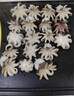 鴻鑫水產(chǎn)新鮮二去小章魚 去牙去內(nèi)臟 低溫鎖鮮Q彈爽口火鍋燒烤食材八爪魚 彈脆八爪 400g/袋（16-18只） 曬單實(shí)拍圖