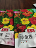 【當(dāng)季新種】旱金蓮種子垂吊旱荷花籽草種烏金蓮花籽四季盆栽易種 旱金蓮種子/包約30粒 3包 曬單實拍圖