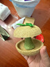 carno卡諾蘋(píng)果核倉鼠磨牙零食金絲熊花枝鼠豚鼠糧食互動(dòng)造景用品 曬單實(shí)拍圖