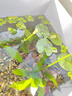 魚缸懶人水草植物淡水有莖草缸造景水族箱中后景水族套餐包郵 大葉綠九冠2顆（送水草沉底杯） 曬單實(shí)拍圖