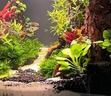 捷寶Jebao捷寶dmp魚(yú)缸造浪泵缸外供電海缸智能沖浪泵底吹環(huán)流變頻藍牙 【W(wǎng)IFI+藍牙】8W 適合50CM以下魚(yú)缸 曬單實(shí)拍圖