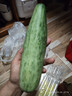 京果金榜羊角蜜甜瓜 山東特產(chǎn)脆甜香瓜水果禮盒裝 甄選10斤【精美禮盒裝】 曬單實拍圖