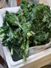 澤鮮達(dá)羽衣甘藍(lán)新鮮西餐沙拉蔬菜榨汁烤片kale健身輕食榨汁食材 1斤品質(zhì)裝 曬單實拍圖