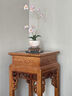 盛居堂玉蘭花彩銅擺件客廳玄關(guān)電視柜桌面裝飾品擺設(shè)新居喬遷禮品工藝品 【芝蘭玉樹(shù)】高約40cm 曬單實(shí)拍圖
