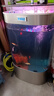 美諾魚(yú)缸客廳免換水家用中小型智能1.2米雙圓形靠墻大型背濾金龍魚(yú)缸 拉絲銀【高清玻璃+顯示屏+魚(yú)缸大禮包】 80*50*138 曬單實(shí)拍圖