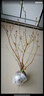 藍莓樹(shù)果苗藍莓苗盆栽地栽果苗帶大果南北方種植苗兔眼綠寶石果樹(shù) 8年苗_北藍/帶葉帶土發(fā)貨 曬單實(shí)拍圖