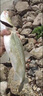 YGK PE SUPER 超細4編大力馬子線0.03號強拉力耐磨防咬pe線路亞飛磕釣魚線主線 4編超細大力馬【50米】白色 0.05 曬單實拍圖