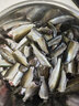 川品社 溪流線(xiàn)組套裝 野釣鯽魚(yú)/白條/石斑傳統釣溪流三粒七星漂通線(xiàn)單鉤小魚(yú)線(xiàn)組 橄欖型三豆【金袖有刺】3.6米/2組裝 0.8【魚(yú)線(xiàn)號】 曬單實(shí)拍圖