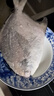 亞又婧 特大銀鯧魚(yú)新鮮冷凍 東海白鯧魚(yú)鮮活海捕 大昌魚(yú)平魚(yú)鯧鳊魚(yú) 無(wú)冰凈重2條【8兩-1斤/條】 曬單實(shí)拍圖
