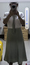 羅蒙（ROMON）連衣裙女裝半裙女2024夏季新款休閑時尚氣質職業(yè)襯衫裙子女兩件裝 淺綠色 M 曬單實拍圖