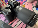 尼康（Nikon）尼康Z30 Z50二代 Z5微單相機入門級高清Vlog4K自拍攝影照相機七夕 Z50二代+Z50-250mm變焦鏡頭 官方標配（機身+電池+肩帶） 曬單實拍圖