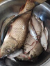 不銹鋼釣魚(yú)支架多功能魚(yú)竿架地插釣魚(yú)架桿炮臺支架手竿桿架加粗 2.7m 【顏色隨機】 曬單實(shí)拍圖