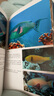 魚(yú)書(shū) 印度洋—太平洋珊瑚礁生物（900種海洋生物+1000張高清全彩圖片，一分鐘認識海洋生物） 曬單實(shí)拍圖