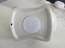 十二生肖中號(hào)擺件創(chuàng)意陶瓷工藝禮品家居裝飾兒童禮物存錢(qián)罐吉祥物 虎虎生威-中號(hào)存錢(qián)罐 曬單實(shí)拍圖