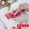 日本SAKURA櫻花高光筆gellyroll美術(shù)繪畫白筆畫畫手繪專用勾線筆 彩鉛素描兒童手賬白畫筆 高光筆白色【05+08+10】+金色+銀色 曬單實(shí)拍圖