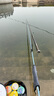 達摩 浮漂604帶殼四片孔雀羽加粗醒目綜合魚(yú)漂高靈敏黑坑鯽魚(yú)浮子21目 604【紅袍】常規細尾 3號 曬單實(shí)拍圖
