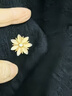 杜緹胸針?lè )雷吖饪凵衿鱒領(lǐng)領(lǐng)口固定紐扣小巧精致氣質(zhì)防走光扣小 【兩個(gè)裝】104+102 曬單實(shí)拍圖
