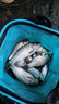 漁之源怪獸無(wú)結(jié)主線組成品綁好進(jìn)口魚(yú)線套裝全套線組拉力強(qiáng)釣魚(yú)魚(yú)鉤配件 5.4米【強(qiáng)力無(wú)結(jié) 拉力增強(qiáng)35%】 1.2號(hào)（三個(gè)裝） 曬單實(shí)拍圖