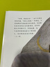 小黑魚 李歐李?yuàn)W尼經(jīng)典作品集01 凱迪克大獎(jiǎng)繪本 愛心樹繪本童書 曬單實(shí)拍圖