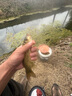 巡漁博士360度可視高清探魚(yú)器水下攝像頭超清探頭釣魚(yú)全景看魚(yú)神器 5寸防水屏+360感溫感深攝像頭 20米視頻線(xiàn) 曬單實(shí)拍圖
