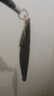 防掛底加強(qiáng)鉛頭鉤路亞假餌T尾軟餌釣鱸魚(yú)翹嘴鱖魚(yú)軟蟲(chóng)路亞盒套裝 雙面盒【5g】30枚+50條套餐81件 曬單實(shí)拍圖