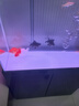 漢霸 超白玻璃魚缸生態(tài)底濾客廳大型家用智能金魚缸水族箱2025新款 亮黑色 靠墻0.8米X36cm寬X146cm高 曬單實(shí)拍圖