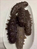 這片海大連即食海參源頭直發(fā)深海底播新鮮遼刺參送禮營(yíng)養健康無(wú)添加 2斤裝18-24頭【順豐空運大連發(fā)】 曬單實(shí)拍圖