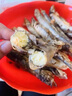 繽鮮 遼寧 大號多春魚(yú)凈重2斤 滿(mǎn)籽魚(yú)籽飽滿(mǎn) 燒烤魚(yú)類(lèi)-源頭直發(fā) 曬單實(shí)拍圖