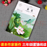 荷花 葉圣陶作品集三年級下冊課外書(shū)小學(xué)生語(yǔ)文教材配套閱讀3年級下學(xué)期語(yǔ)文課本作家作品系列經(jīng)典書(shū)目?jì)和x物 曬單實(shí)拍圖