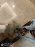 拉維佩特（LOVINGPET）狗繩牽引繩背帶 泰迪牽引繩胸背帶牽狗繩小型犬遛狗繩荷蘭絨胸背 藍色胸背帶+同色1.5m牽引繩 M-(參考7-13斤) 曬單實(shí)拍圖